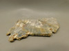 Graveyard Point Plume Agate Stone Slab Unpolished Rock Oregon #O3