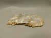 Graveyard Point Plume Agate Stone Slab Unpolished Rock Oregon #O3