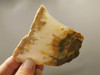 Graveyard Point Plume Agate Stone Slab Unpolished Rock Oregon #O6