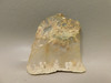 Graveyard Point Plume Agate Stone Slab Unpolished Rock Oregon #O6