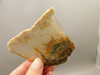 Graveyard Point Plume Agate Stone Slab Unpolished Rock Oregon #O6