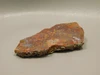 Bloody Basin Plume Agate Stone Slab Unpolished Rock Arizona #O2