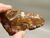 Bloody Basin Plume Agate Stone Slab Unpolished Rock Arizona #O2