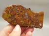 Bloody Basin Plume Agate Stone Slab Unpolished Rock Arizona #O3