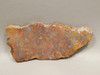 Bloody Basin Plume Agate Stone Slab Unpolished Rock Arizona #O7