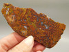 Bloody Basin Plume Agate Stone Slab Unpolished Rock Arizona #O7