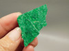 Maw Sit Sit Unpolished Stone Slab Green Jade Small Rock #O16