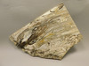 Petrified Palm Root Wood Polished Stone Slab Edison California #O9710