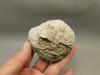 Dugway Thunderegg Polished Rock Geode Blue Agate #O22