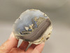 Dugway Thunderegg Polished Rock Geode Blue Agate #O22