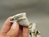 Petrified Wood Black & White Polished Twigs Snake River Idaho #O100