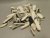 Petrified Wood Black & White Polished Twigs Snake River Idaho #O100