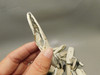 Petrified Wood Black & White Polished Twigs Snake River Idaho #O100