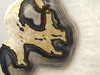 Brazilian Agate Polished Stone Slab Banded Agate #O16