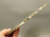 Brazilian Agate Polished Stone Slab Banded Agate #O16