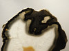 Brazilian Agate Polished Stone Slab Banded Agate #O16