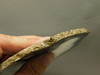 Brazilian Agate Polished Stone Slab Banded Agate #O16