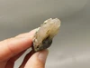 Petrified Wood Eden Valley Polished Limb Acrostichum #OA3