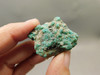 Turquoise Nugget Rock Small Natural Unpolished Stone Mexico #O12