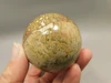 Petrified Palm Wood Sphere 2.15 inch Stone Fossil Indonesia #O36
