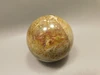 Petrified Palm Wood Sphere 2.15 inch Stone Fossil Indonesia #O36