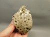 Petoskey Stone Slab Unpolished Rough Rock Fossil Michigan #O1