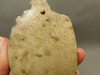 Petoskey Stone Slab Unpolished Rough Rock Fossil Michigan #O1
