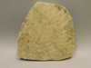 Petoskey Stone Slab Unpolished Rough Rock Fossil Michigan #O4