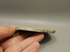 Petoskey Stone Slab Unpolished Rough Rock Fossil Michigan #O4