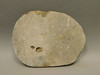 Petoskey Stone Unpolished Rough Rock Fossil Michigan #O7