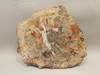 Petrified Rainbow Wood Stone Slab Polished Round Red Arizona #O148-1