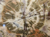 Petrified Rainbow Wood Stone Slab Polished Round Red Arizona #O148-2