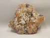 Petrified Rainbow Wood Stone Slab Polished Round Red Arizona #O148-2