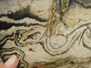 Petrified Wood Polished Slab Vantage Washington #O154-1