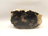 Eden Valley Petrified Wood Wyoming Polished Round Stump #O132-26