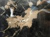 Eden Valley Petrified Wood Wyoming Polished Round Stump #O132-26
