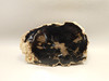 Eden Valley Petrified Wood Wyoming Polished Round Stump #O132-26