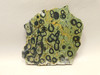 Kabamba Jasper Unpolished Stone Slab Kambaba Rough Rock #O2
