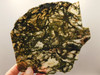 Horse Canyon Agate Stone Slab Unpolished California #O5