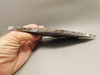 Mushroom Jasper Unpolished Rock Stone Slab Arizona #O7