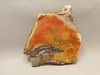 Cherry Creek Jasper Unpolished Rock Stone Slab Red Creek #O3