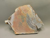Cherry Creek Jasper Unpolished Rock Stone Slab Red Creek #O3
