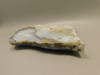 Polka Dot Agate Stone Slab Unpolished Rough Rock Oregon #O4