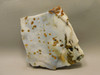 Polka Dot Agate Stone Slab Unpolished Rough Rock Oregon #O5