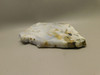 Polka Dot Agate Stone Slab Unpolished Rough Rock Oregon #O5