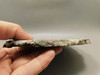 Kingston Conglomerate Copper Stone Slab Rough Rock Michigan #O10