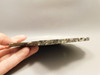 Kingston Conglomerate Copper Stone Slab Rough Rock Michigan #O12