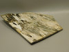 Petrified Palm Root Wood Polished Slab Edison California #O9710-1