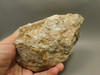Spotted Fawn Stone or Tigilitis Lapidary Rough Rock #O1