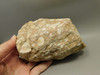 Spotted Fawn Stone or Tigilitis Lapidary Rough Rock #O1